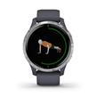 Smartwatch Garmin Venu Azul Granito